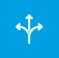 Icon used to represent flexible autoclave cycles