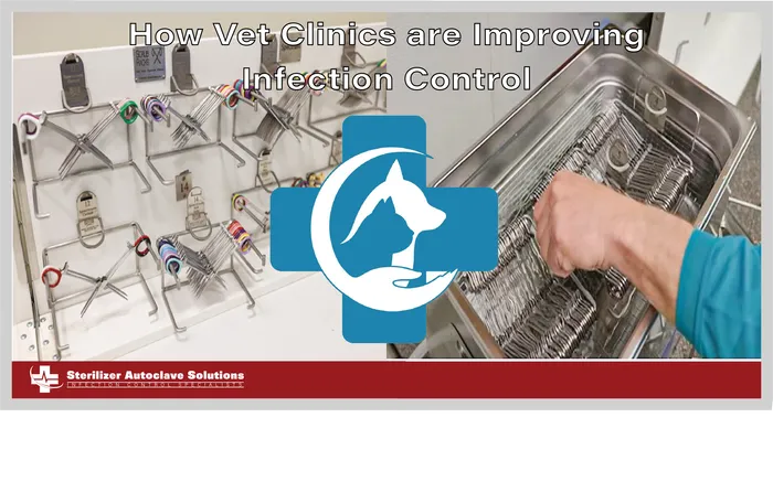 This is the thumbnail graphic for the blog titled "How Vet Clinics are Improving Infection Control."
