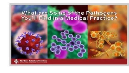 This is the blog that goes over some of the pathogens that you'll find in a medical practice.