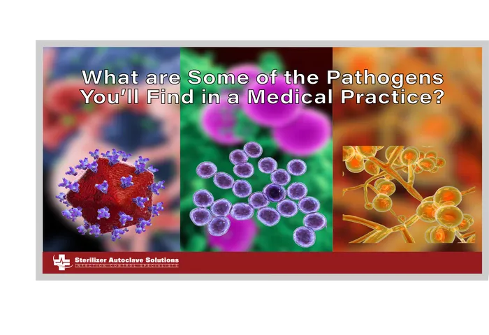 what are some of the pathogens youll find in a medical practice thumbnail graphic This is the blog that goes over some of the pathogens that you'll find in a medical practice.