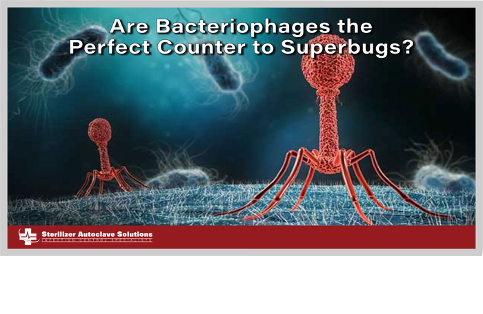 This is a thumbnail graphic with text and a picture of cells.